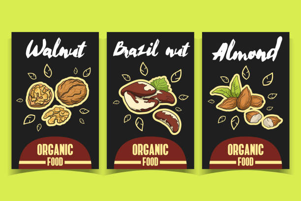 labels_walnut_brazil_nut_almond - nut walnut almond brazil nut stock illustrations