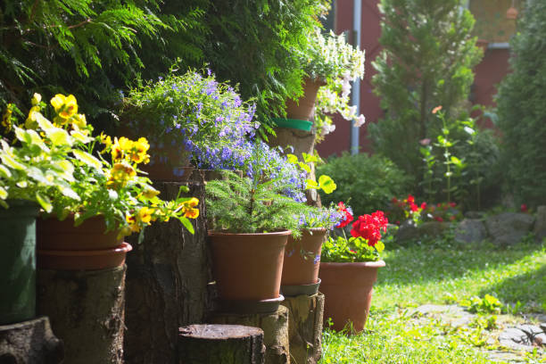 Many flower pots as a decoration in the garden at spring
