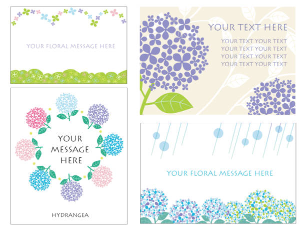 ilustrações de stock, clip art, desenhos animados e ícones de a set of four message cards with hydrangeas. - bride backgrounds white bouquet