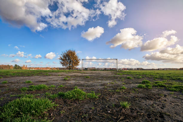 istock soccer goal with tree, skyline and cloudscape 936849642