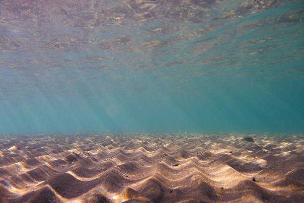 istock Tranquil underwater Mediterranean Sea scene with copy space 936849720