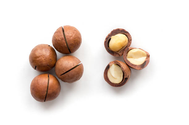 aislados de macadamia. - unshelled fotografías e imágenes de stock