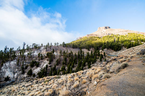 El Teide National Park, Tenerife, Canary islands,  Spain, Europe (Africa). All logos removed. Nikon d850.