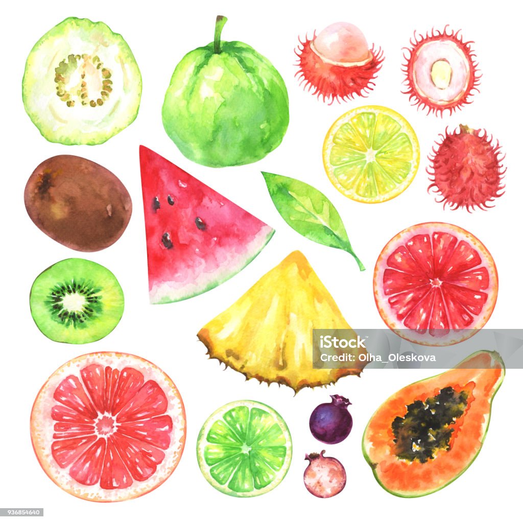 Hand painted exotic fruits set Hand painted exotic fruits set. Watercolor collection of kiwi, watermelon, guava, rambutan, amelanchier, grapefruit, blood orange, lemon, papaya, pineapple, lime and green leaf isolated on white background. Watercolor Painting stock illustration