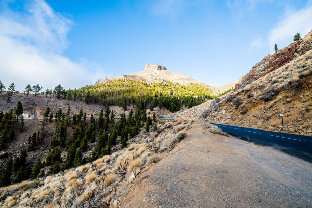 El Teide National Park, Tenerife, Canary islands,  Spain, Europe (Africa). All logos removed. Nikon d850.