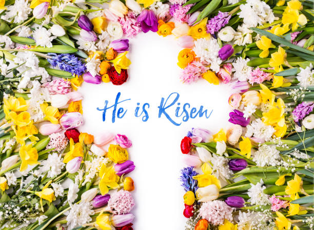 A cross on a colorful flower background. Easter flat lay. He is risen phrase on a cross. Colorful flowers background. Studio shot. Flat lay. christianity photos stock pictures, royalty-free photos & images