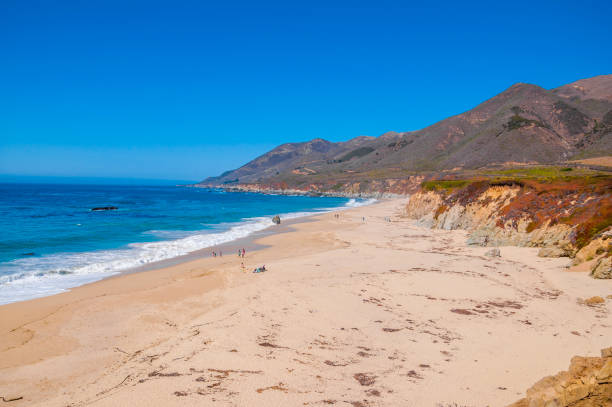 istock People and children playing and walking on the beach 936875980