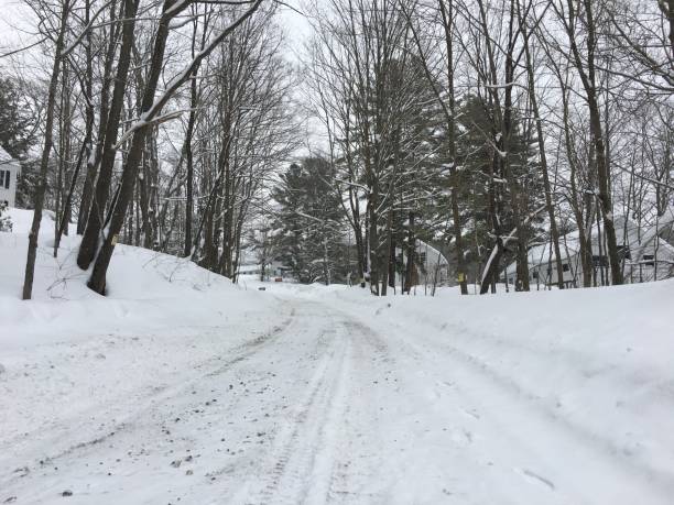 istock Trees and snowpack on a country road in New York 936885934