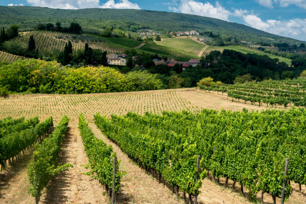 istock Landscape near San Gimignano (Tuscany) 936886046