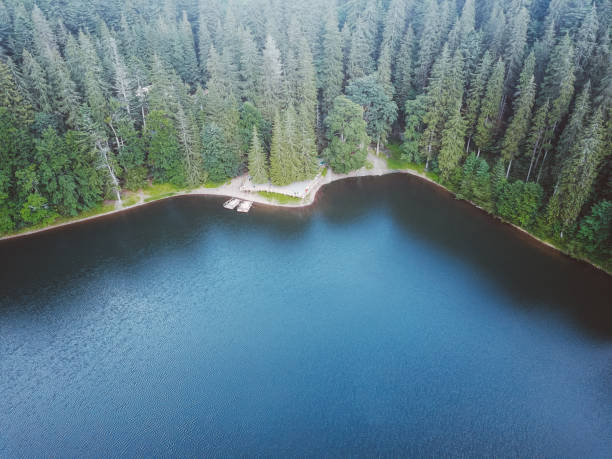 istock Lake and forest in Ukraine, aerial view 936890470