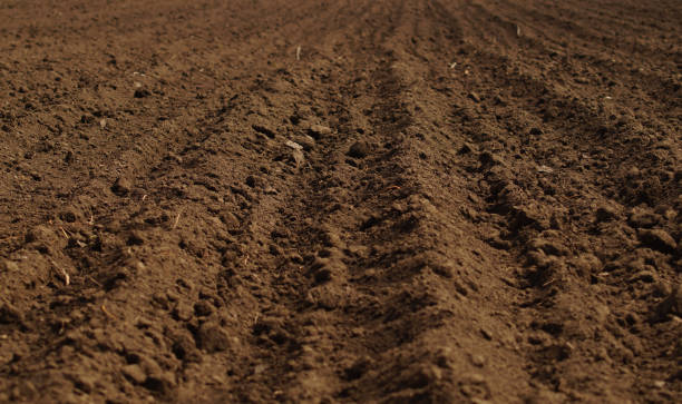 arada campo preparado para la siembra de primavera - seedbed fotografías e imágenes de stock