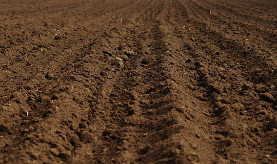 Ploughed field in spring prepared for sowing.  Earth texture. Rustic background.