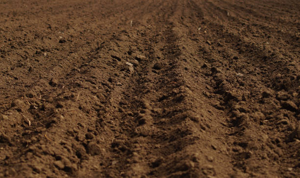 ploughed field in spring prepared for sowing - seedbed imagens e fotografias de stock