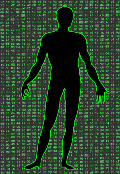 ilustrações de stock, clip art, desenhos animados e ícones de artificial intelligence. silhouette of a man body, inside which binary code. it can illustrate scientific ideas, artificial neural networks, deep learning, development of technology - synapse computer chip communication abstract