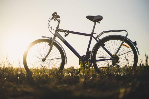 istock Traveling by bicycle. Beautiful scenery with a bicycle. 936907770