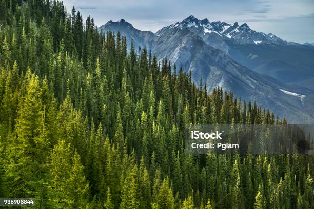 Mountain View From Sulphur Mountain Banff Alberta Canada Stock Photo - Download Image Now