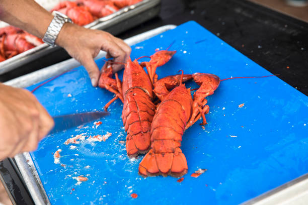 istock A chef prepares lobster in PEI Canada 936911120