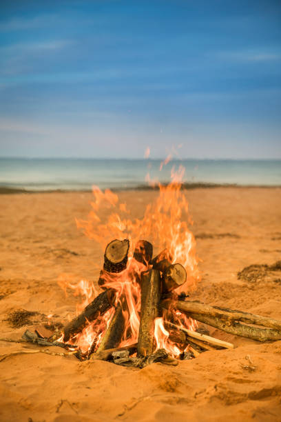 istock Campfire on the shore of a sandy beach 936911150
