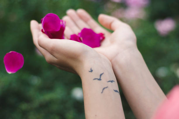 istock Woman in rose garden 936911296