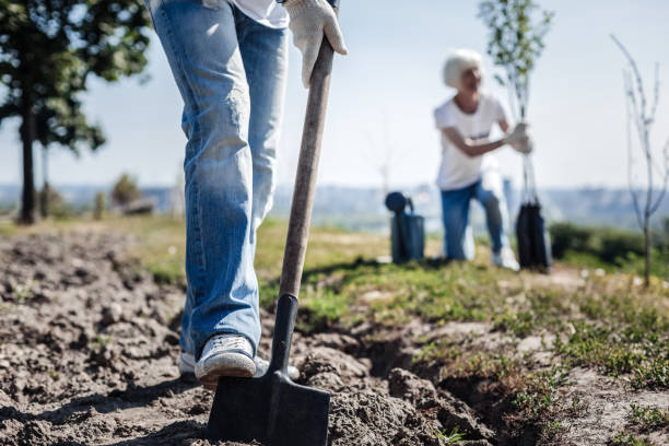 Nice strong man digging In the garden. Nice pleasant strong man holding a spade and digging in the garden while planting a tree digging photos stock pictures, royalty-free photos & images