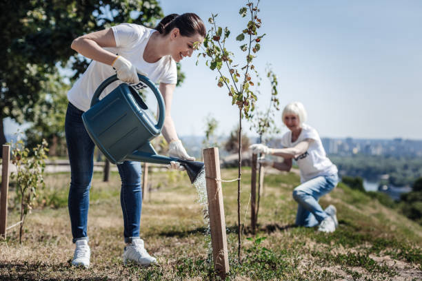 istock Joyful positive woman watering a tree 936915066