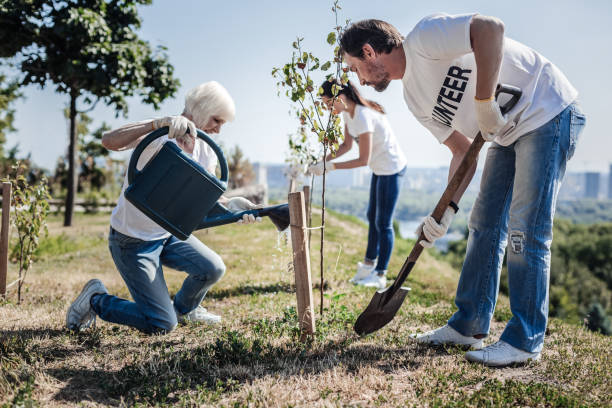 istock Nice hard working volunteers planting trees 936915122