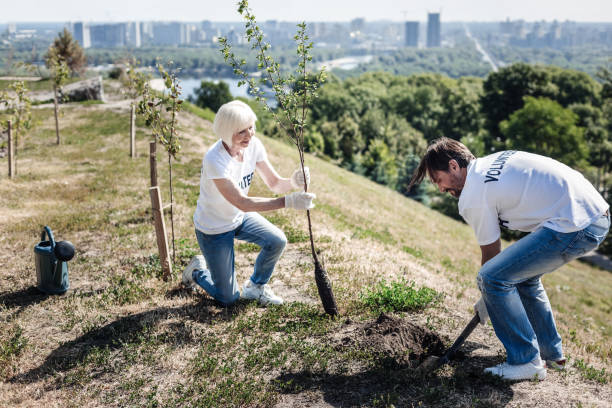 istock Joyful elderly woman holding a tree 936915274