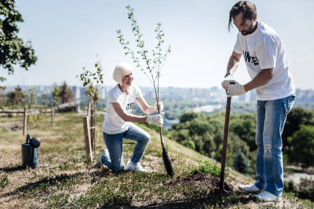 istock Positive joyful volunteers planting trees 936915302