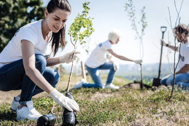 Nice young woman holding a tree Eco protection. Nice young attractive woman wearing gloves and holing a tree while intending to plant it planting stock pictures, royalty-free photos & images