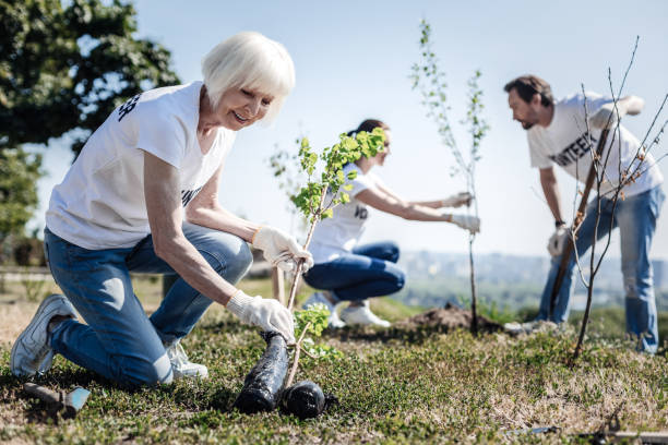istock Cheerful aged woman looking at the tree 936915376