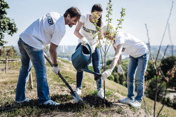 istock Joyful positive volunteers working in team 936915488