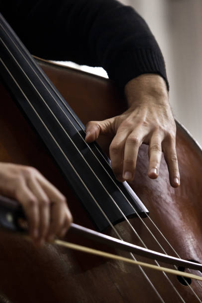 istock Hands of a musician playing on a contrabass 936923850