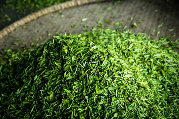 té verde en un plano alrededor de cesta - té verde fotografías e imágenes de stock