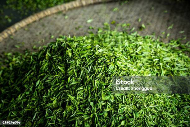 Green Tea In A Flat Round Basket Stock Photo - Download Image Now - Green Tea, Dried Tea Leaves, Chinese Culture