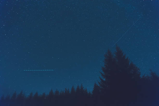 istock Silhouettes of Milky way and forest. My astronomy work. 936924708
