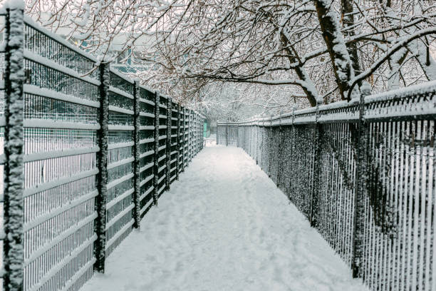 istock Snow road among fences 936925350