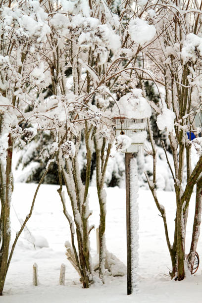 istock Snow Storm Scenic Photo 936925506