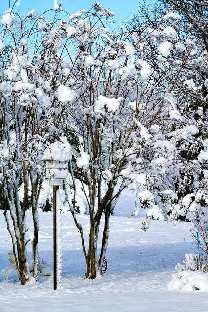 istock Snow Storm Scenic Photo 936925634