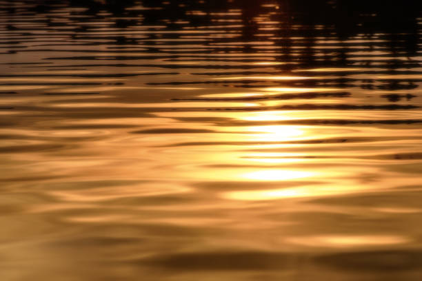 istock water golden sunset background 936925712