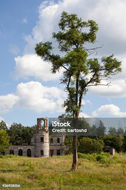 古代の城でウクライナ ジトーミル テレシチェンコ オーラシールドの遺跡19 世紀の宮殿 ウクライナのストックフォトや画像を多数ご用意