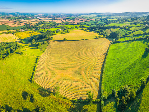 Aerial view over picturesque patchwork landscape of green pasture, lush meadows and crop fields, farmhouses and rural homes amongst the rolling hills and quiet valleys below blue summer skies.