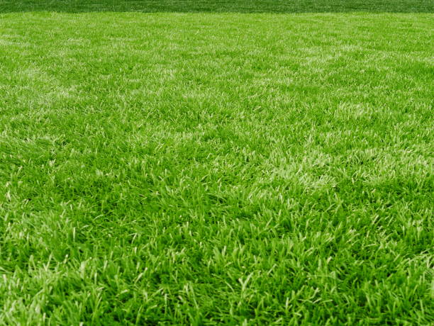 campo de hierba para el deporte de fútbol - grass fotografías e imágenes de stock