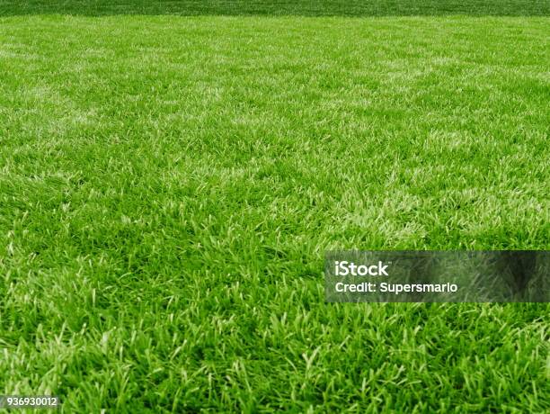 Campo In Erba Per Lo Sport Calcistico - Fotografie stock e altre immagini di Erba - Erba, Prato rasato, Giardino domestico