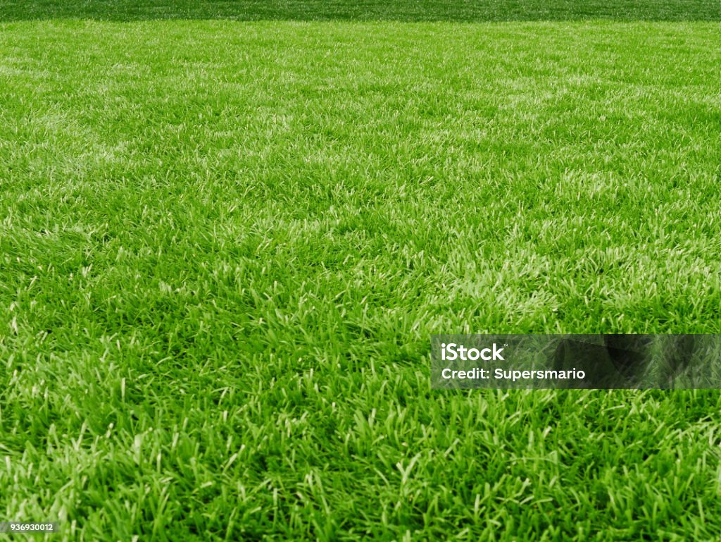 Campo de grama para o esporte de futebol - Foto de stock de Grama royalty-free