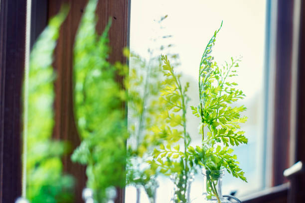 istock Plant decoration on the windowsill. 936932928