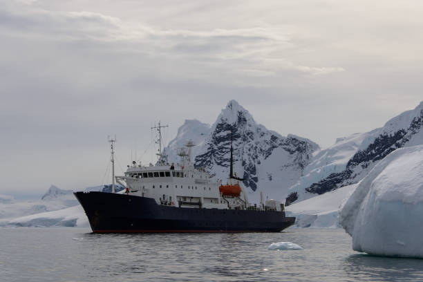 istock Expedition ship in Antarctic sea 936933074