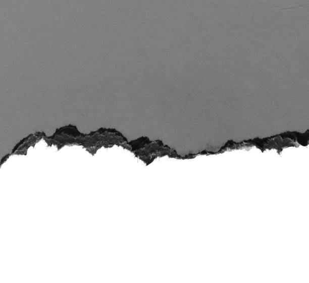 istock pieces of torn paper texture background, copy space. 936933438