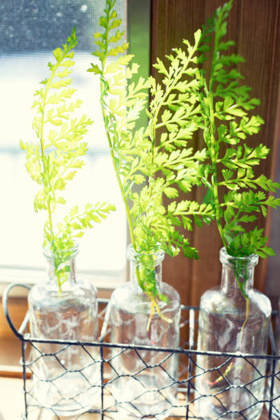 istock Green leaves in small bottles on a kitchen window 936933560