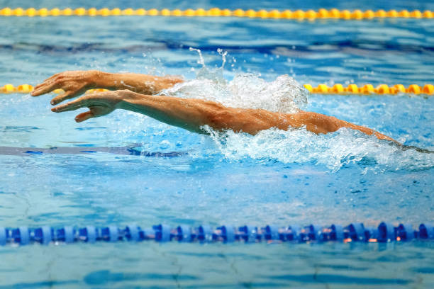istock hands athlete swimmer swimming butterfly stroke in pool competition 936942652