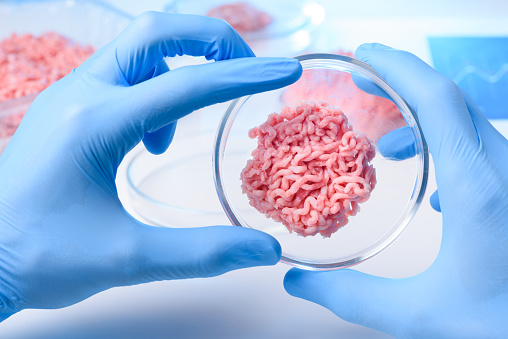 Artificial meat sample in lab petri dish concept